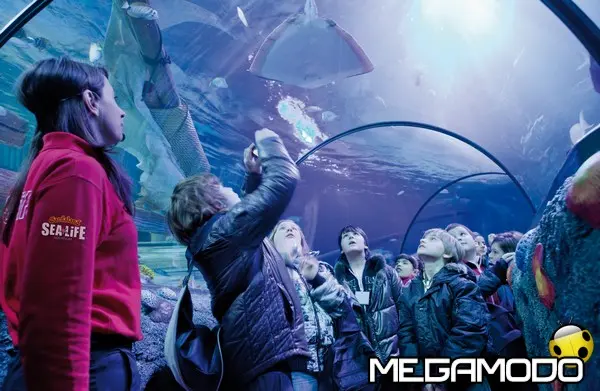 gardaland sea life aquarium