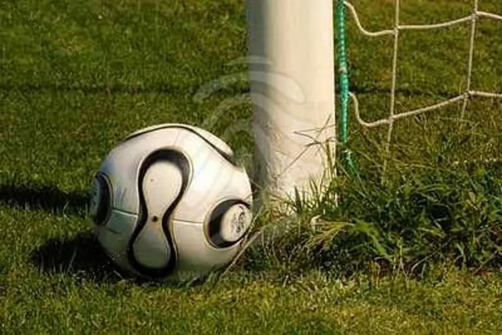 Serie A 11a giornata, la Fiorentina vola al quarto posto, la Lazio umiliata a Catania, il Torino blocca il Napoli