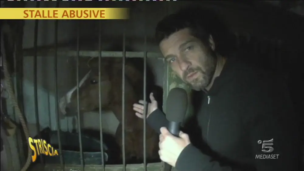 Striscia la Notizia: Edoardo Stoppa scopre cavalli detenuti in stalle abusive a Catania