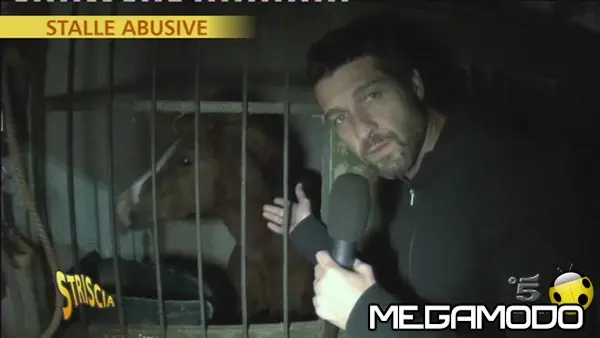 stoppa stalla141212 2