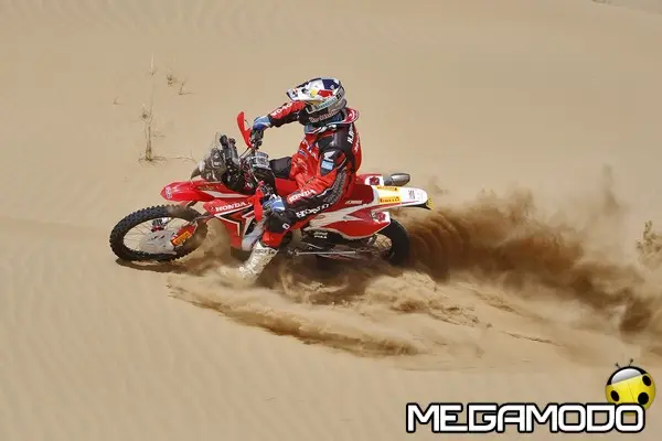 helder rodrigues action