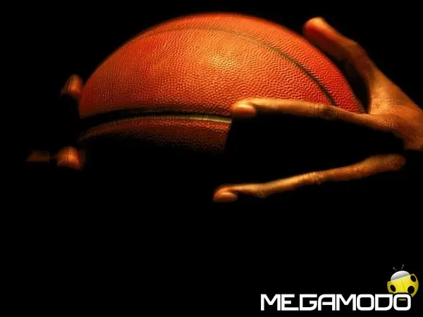 palla basket fra mani 1000