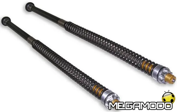 andreani cartucciahd