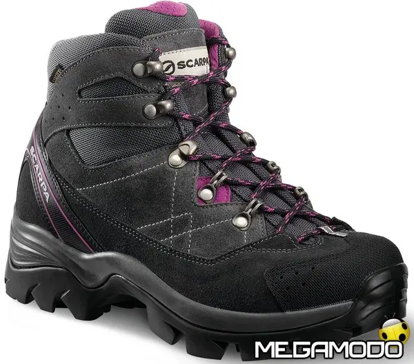 mustang gtx wmn shark dhalia