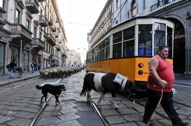 L’ultimo pastore di Marco Bonfanti per la seconda settimana al Mexico di Milano