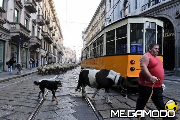 lultimo pastore a milano