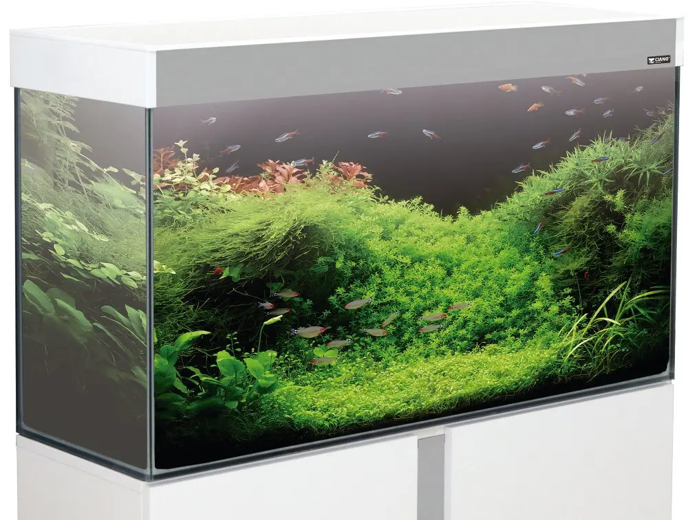 L'acquario Emotions Nature si illumina di bianco