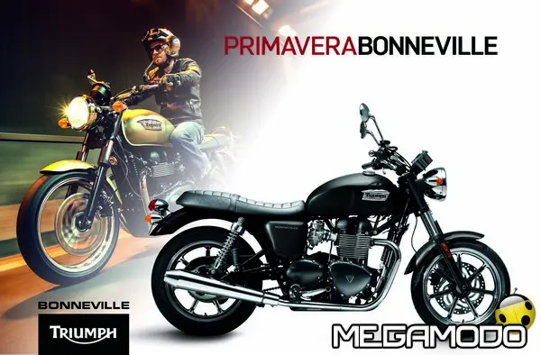 promozione bonneville grande da tagliare 1904