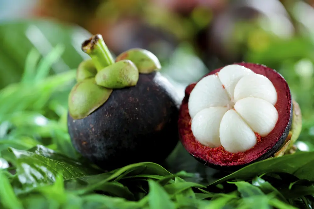 Succo di mangostano Xango Reserva, sorsi di benessere