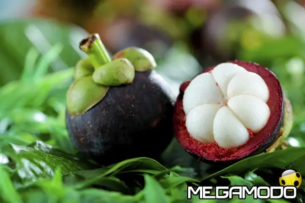 xango frutto di mangostano 21