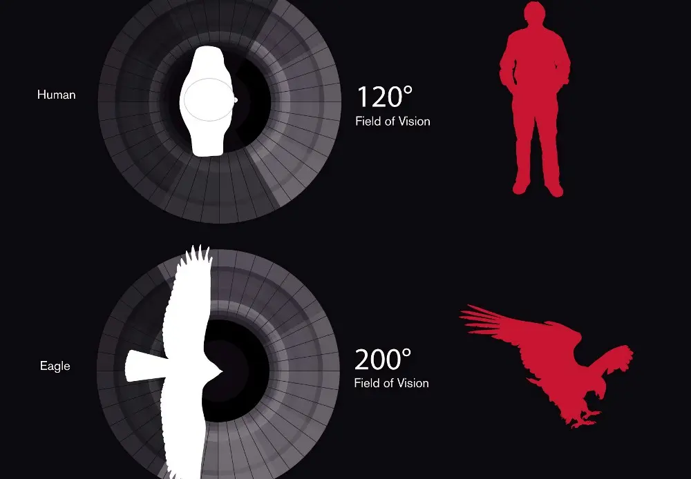 Nissan Note con Safety Shield, focus sulla sicurezza