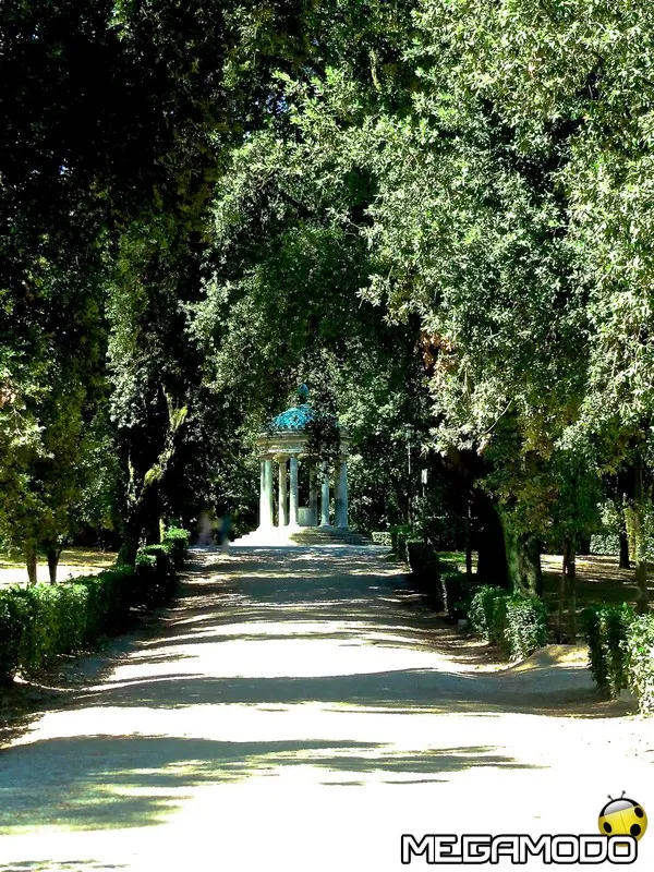 foto comunicato stampa