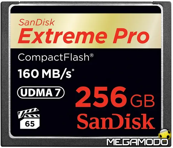 sandisk extremepro cf 256gb