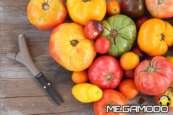 parrot flowerpower tomatoes