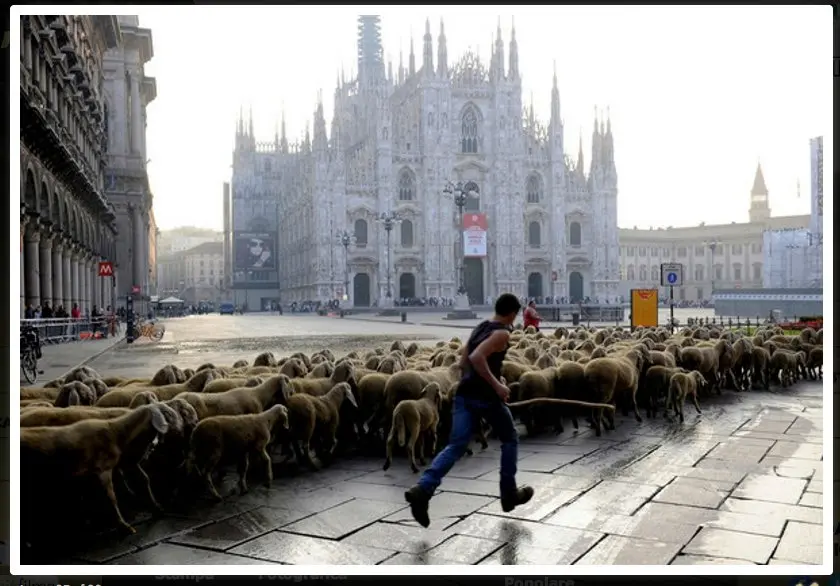 "L’Ultimo pastore" di Marco Bonfanti, il 26 dicembre in prima tv su Rai Uno