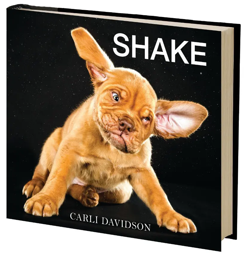 I cani come non li avete mai visti nella raccolta di ritratti "Shake" by Carli Davidson 