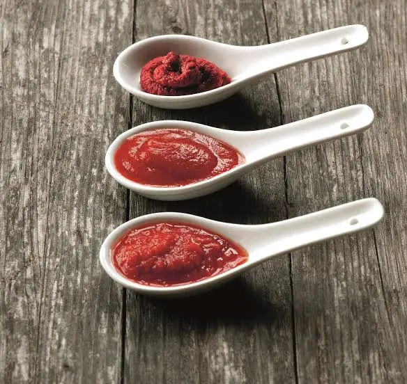 Sommelier del Pomodoro: Mutti insieme ai Jeunes restaurateurs d'Europe per la valorizzazione del pomodoro