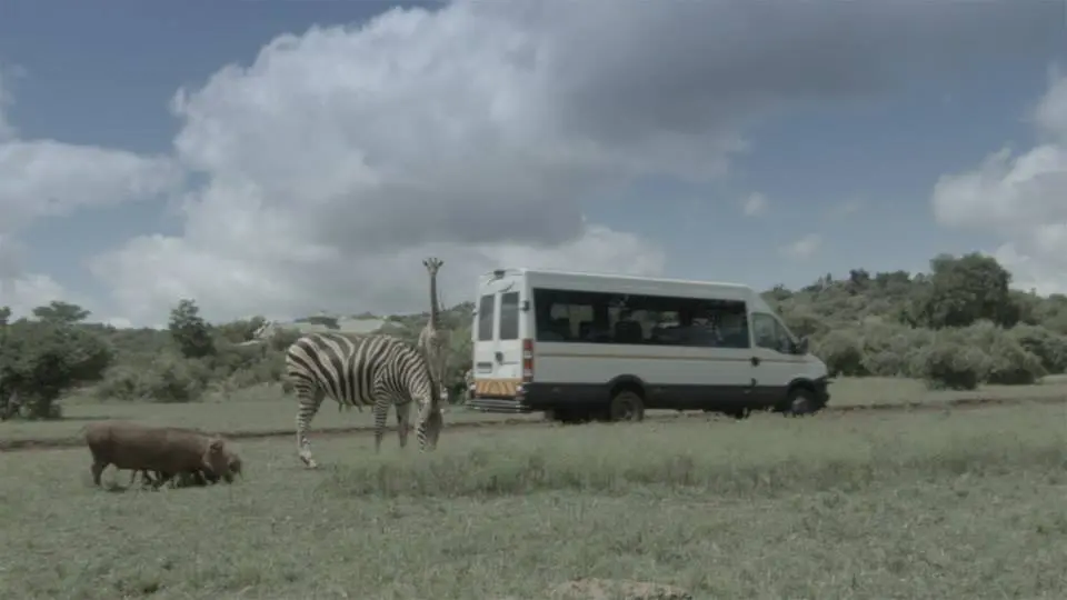 Iveco Daily: come nuovo dopo un milione di chilometri