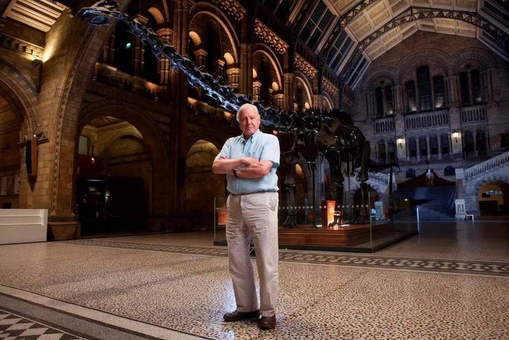 Una notte al Natural History Museum di Londra