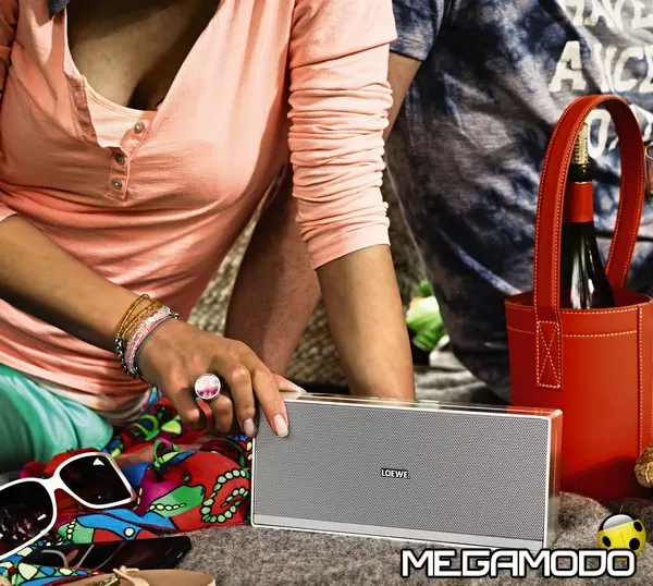 speaker 2go picknick