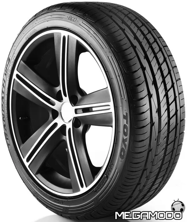 tmp4 prospettiva low