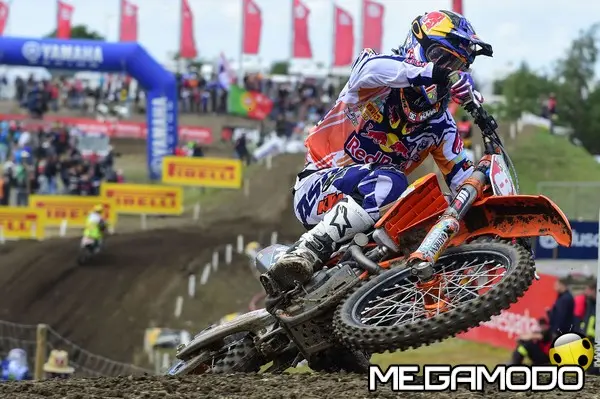 herlings