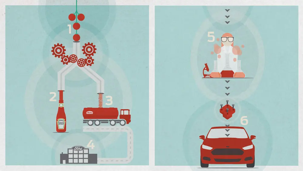 Pomodori e auto: Ford e Heinz per lo sviluppo di materiali sostenibili