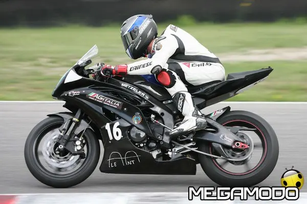 ama 2014 600 base 16 terziani