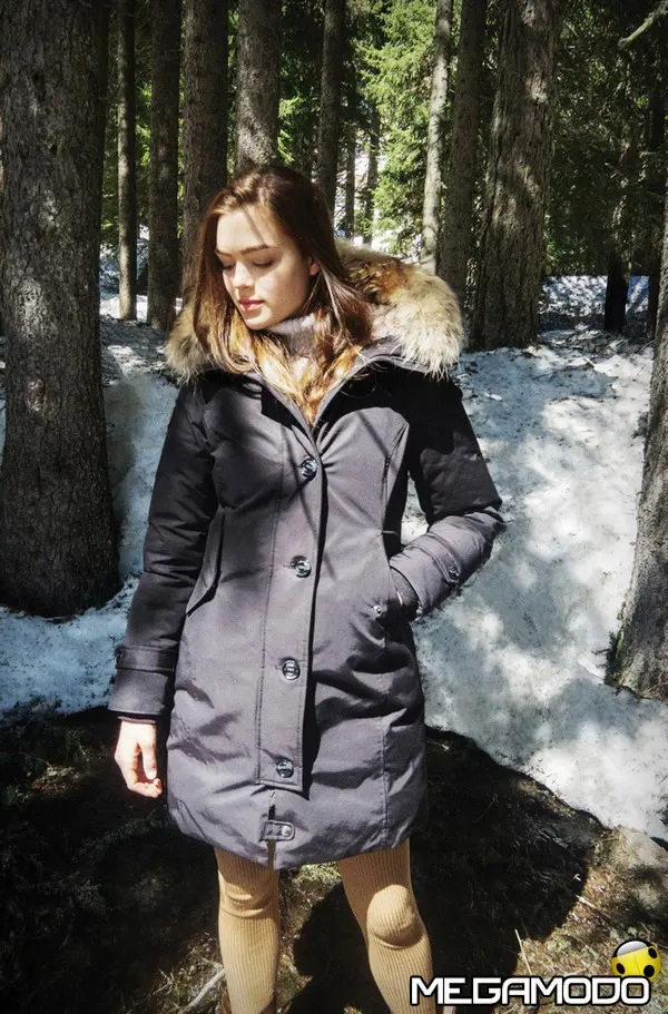 museum donna antarctica