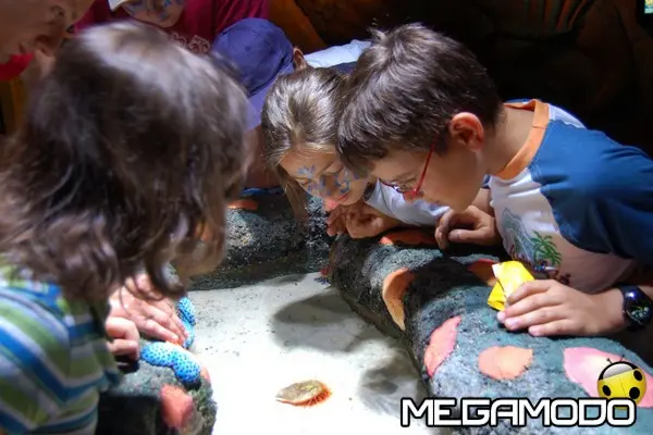 gardaland sea life aquarium laboratori novembre