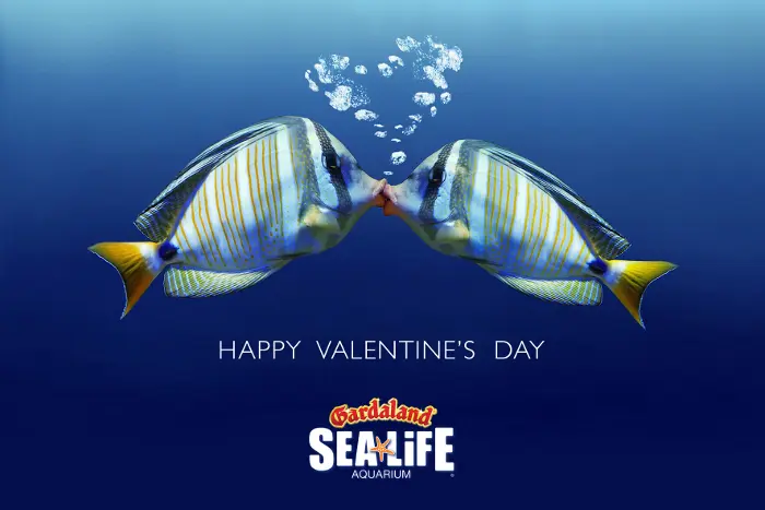 San Valentino e Carnevale al Gardaland SEA LIFE Aquarium