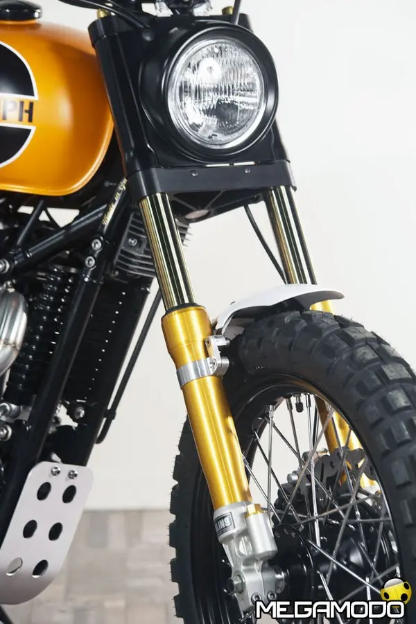 ohlins 43rt triumph