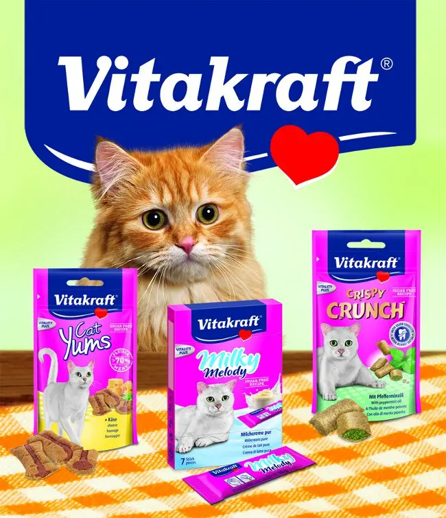 Vitakraft: i nuovi e deliziosi snack per gatti