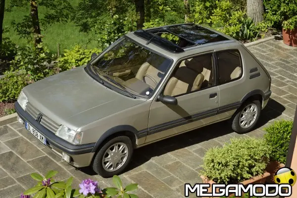 peugeot 205gentry 07