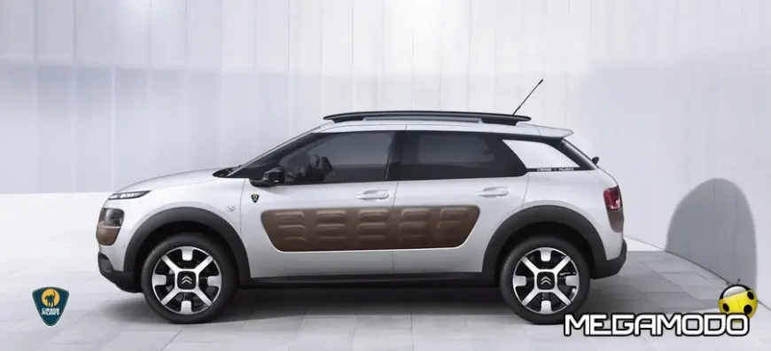 MOD_C4_CACTUS_CIESSE_PIUMINI_5