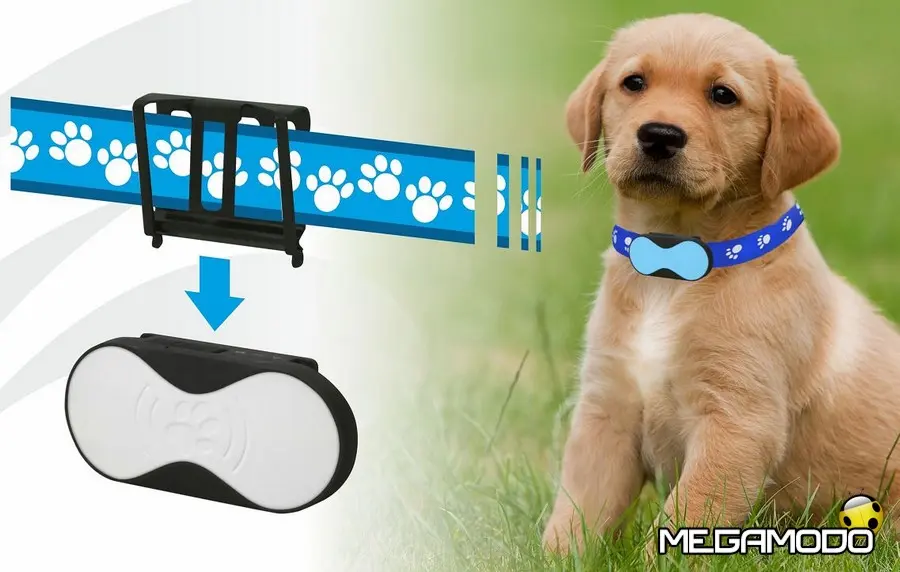 Techmade presenta T-Pets, collare con localizzatore GPS