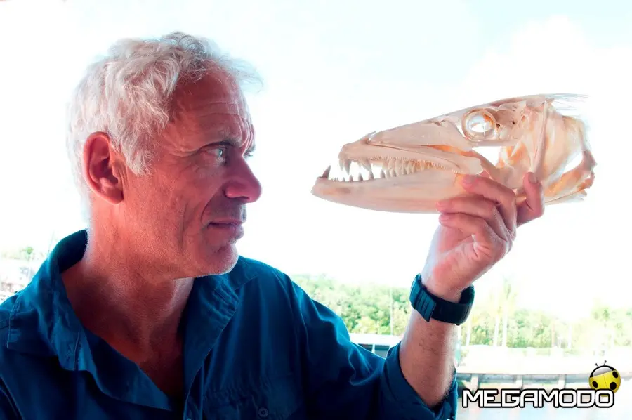 Discovery presenta la Monster Week