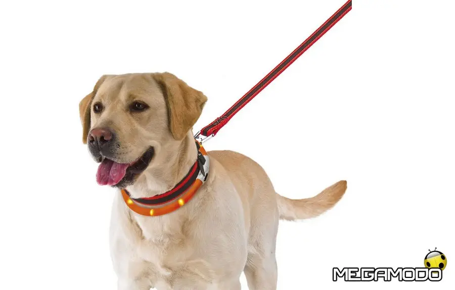 Ferplast, Halloween 'bestiale'!