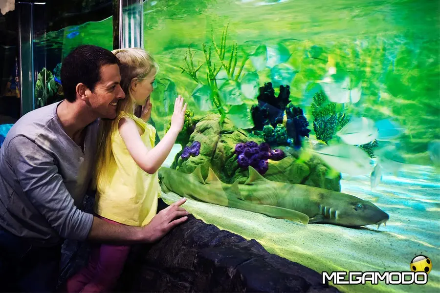 Gardaland Sea Life Aquarium, il 19 marzo dedica una giornata a padri e figli