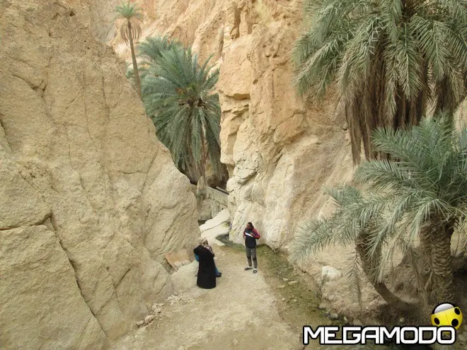 mod photo 2017 05 25 12 11 32