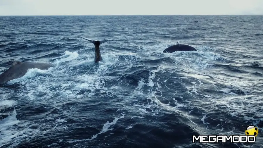 Sky avvia la campagna "Un mare da salvare"