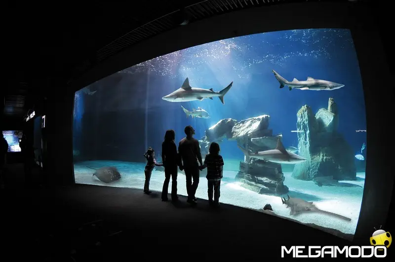 For MSC Meraviglia guests, go behind the scenes on an exclusive tour at ..._800