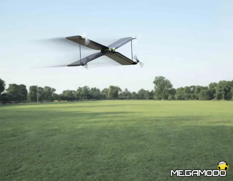 Parrot Swing, Mambo e Pot, l'estate decolla!