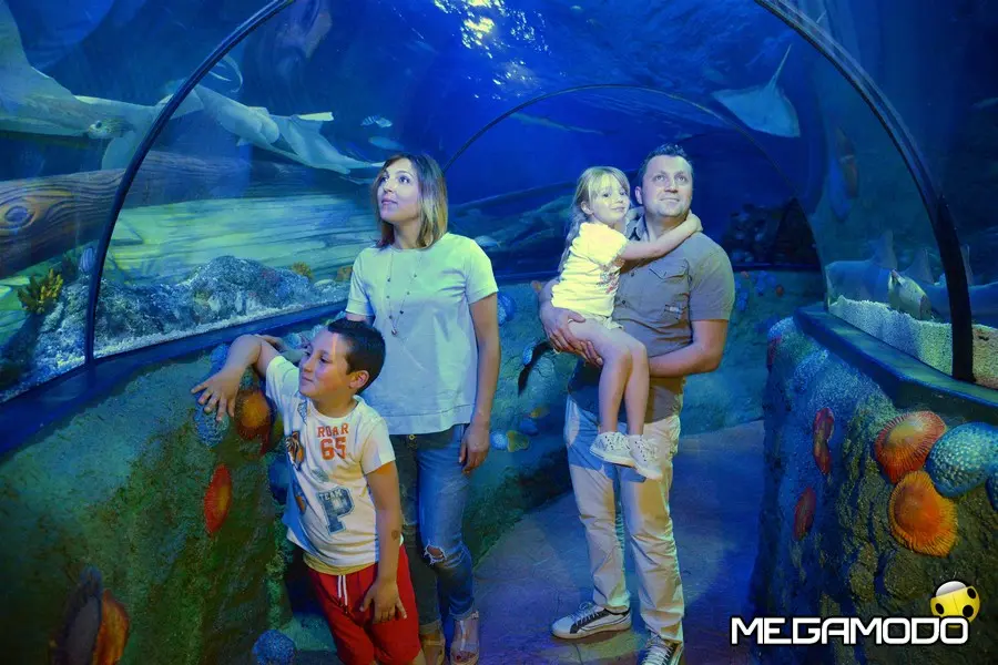 Gardaland Sea Life Aquarium celebrai i primi 10 anni di attività 