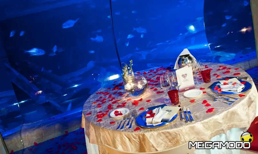 San Valentino a Gardaland SEA LIFE Aquarium