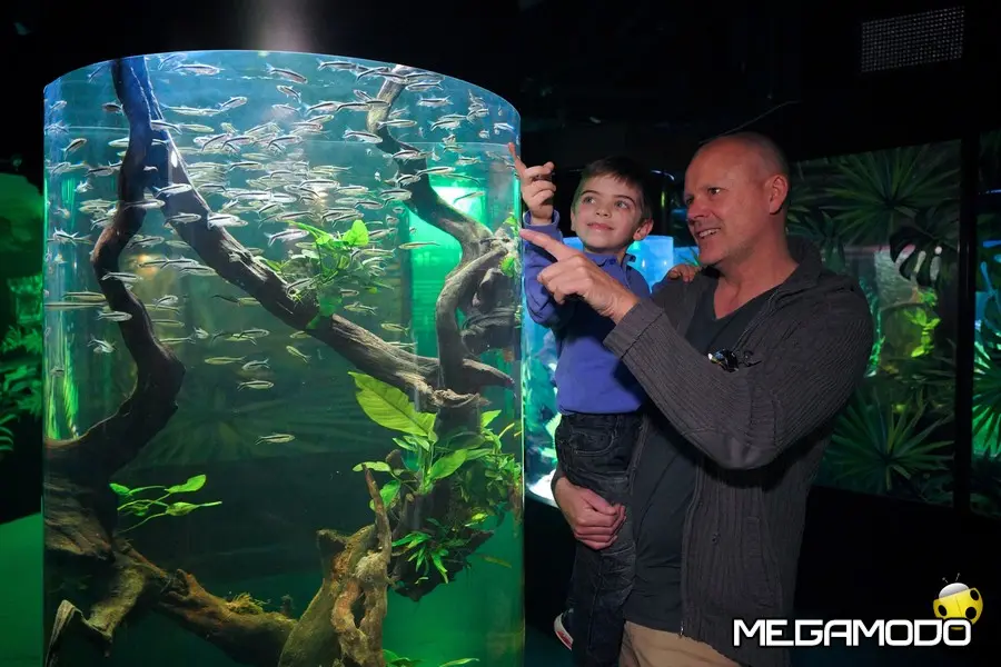 Gardaland Sea Life Aquarium celebra la Festa del Papà 
