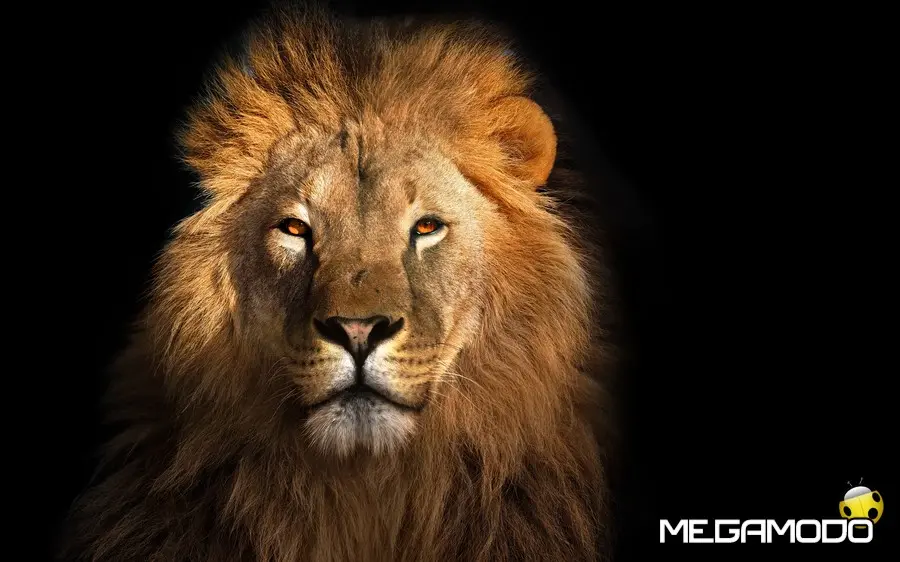 Peugeot chiude il primo trimestre 2019 al 6,4%