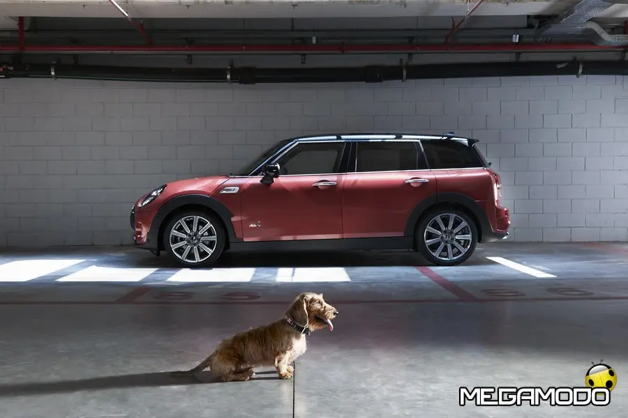 MINI e Poldo Dog Couture: nuovo kit da viaggio per cani per la nuova MINI Clubman