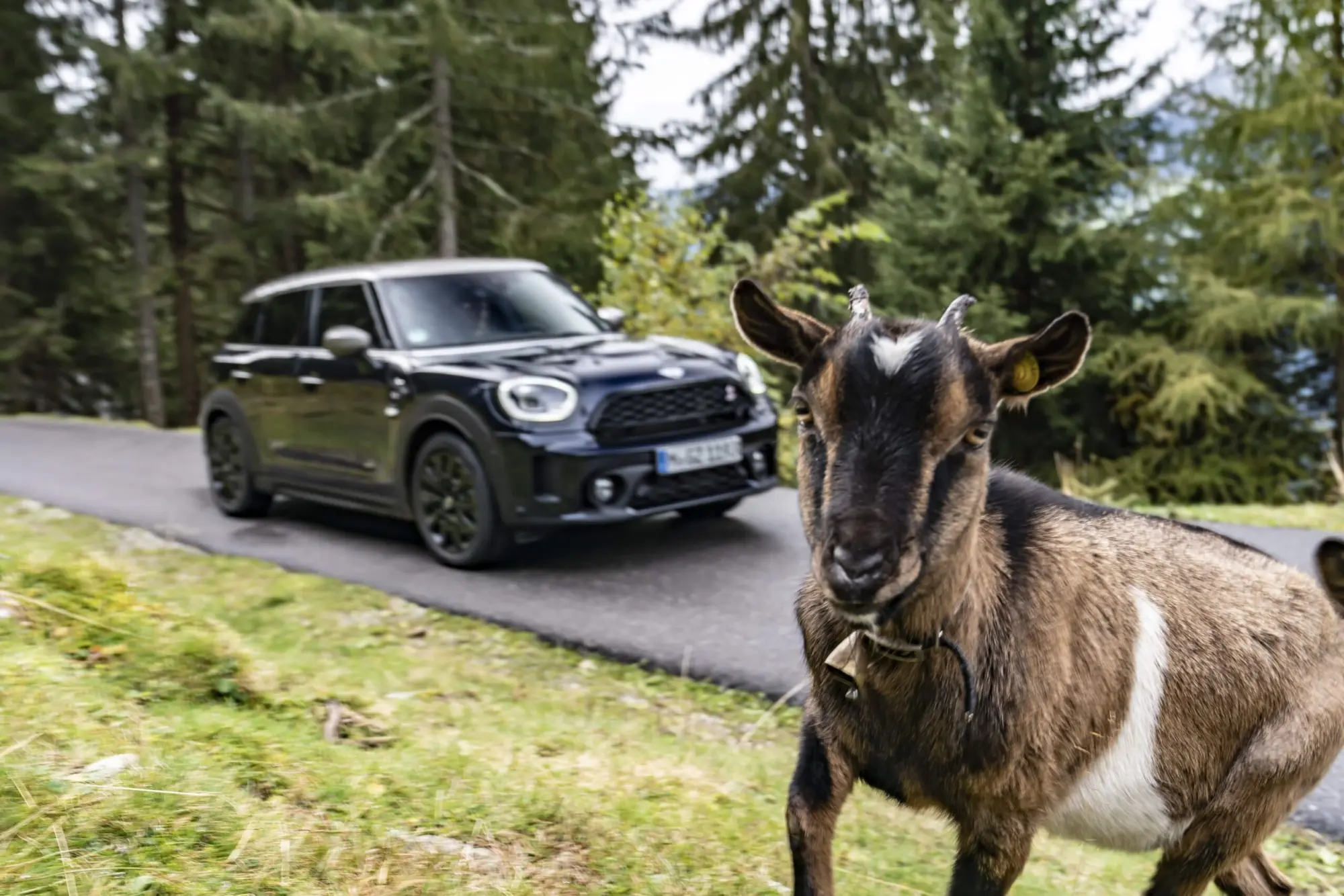 Un viaggio tra le Alpi con MINI Cooper SD Countryman ALL4