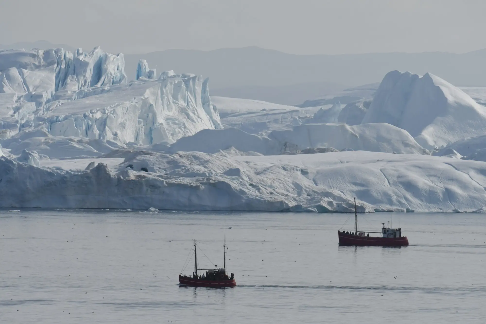 MSC Crociere: tour di 22 giorni in Groenlandia